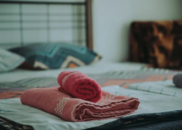 лора Синеморец