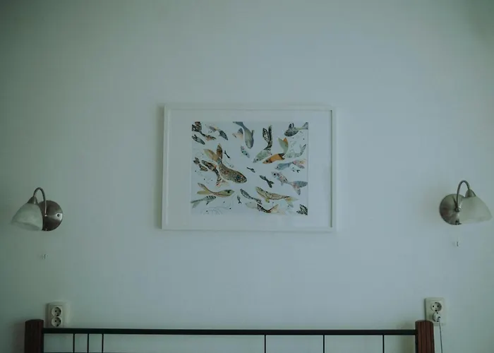 лора 3* Sinemoretz